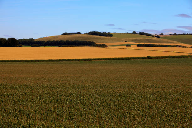 istock England, United Kingdom, Europe. 1261153873
