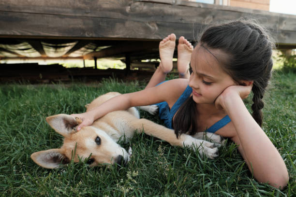 istock Dog is my best friend 1261153881
