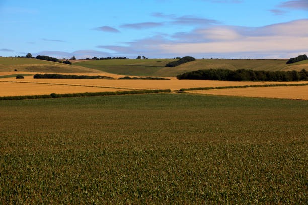 istock England, United Kingdom, Europe. 1261154389