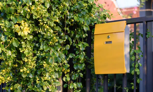 Photo of Modern yellow mail box on black fence with beautiful yellows flower and green leaves