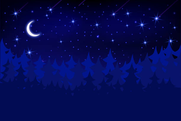 istock Starry sky with bright and dim stars in the night forest. 1261214979