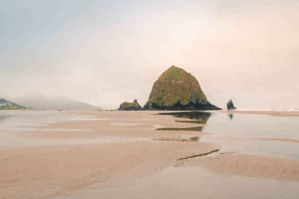 istock Beautiful misty ocean shore at Cannon Beach, Oregon 1261215011