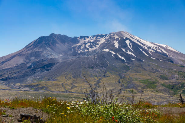 istock Beautiful views of Mt. St. Helens 1261217709