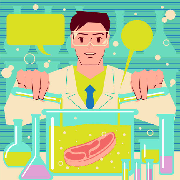 Scientist (engineer, biochemist) making cultured meat (artificial meat, in vitro meat, lab-grown burger) in laboratory. Genetic engineering, genetic modification, GMO and gene manipulation concept Genetically Modified Food vector art illustration.
Scientist (engineer, biochemist) making cultured meat (artificial meat, in vitro meat, lab-grown burger) in laboratory. Genetic engineering, genetic modification, GMO and gene manipulation concept. cultured cell stock illustrations