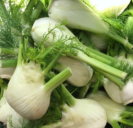 Close-up: Pile of fennel, green and white colours.