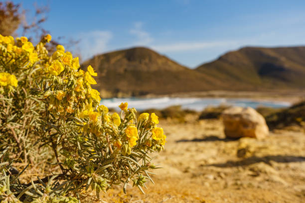 istock Beach El Playazo, seascape in Spain. 1261242792