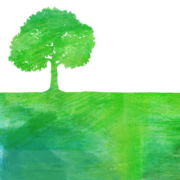 Watercolor color pencil texture green tree and field silhouette Watercolor color pencil texture green tree and field silhouette field non urban scene sky landscape stock illustrations