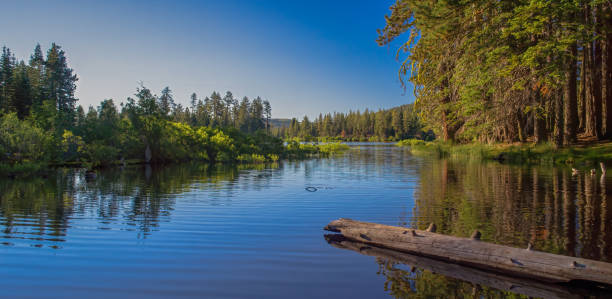 反射と夕暮れでマンザニタ湖 - manzanita lake ストックフォトと画像