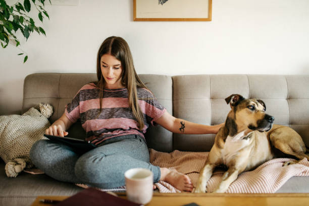 istock Young woman working on a tablet 1261268389