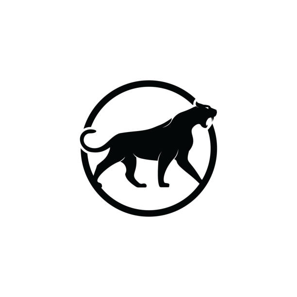 Panther Cat Wild Animal Vector Logo Design Stock Illustration - Download  Image Now - Leopard, Icon, Jaguar - Cat - iStock