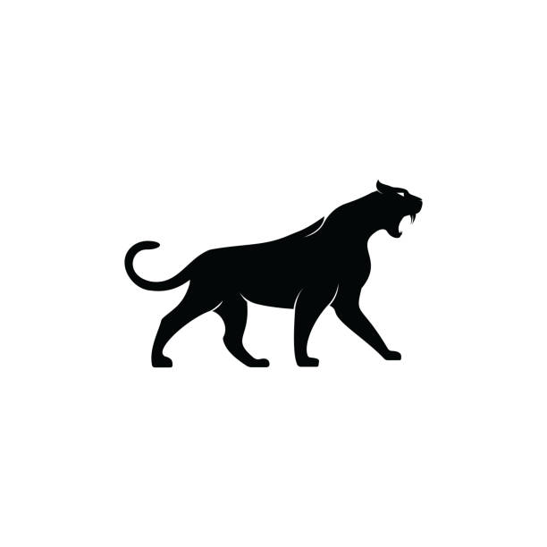 panther katze wilde tier vektor-logo-design. - leopard jaguar animal speed stock-grafiken, -clipart, -cartoons und -symbole