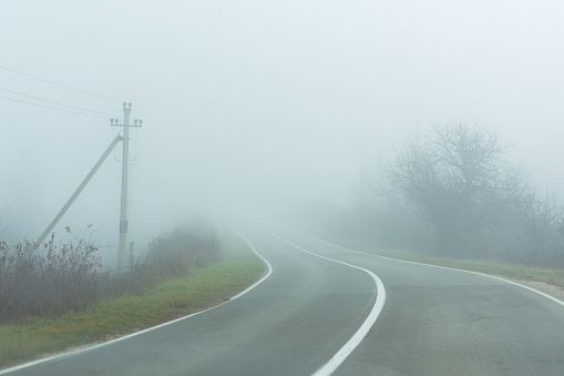 Autumn road with thick fog. Rural country road with a tree and a post. Russian road. Autumn grey of a sad landscape. Lines on the asphalt going into the distance. Travel by car.
