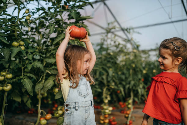 istock We love to work ono farm 1261287156