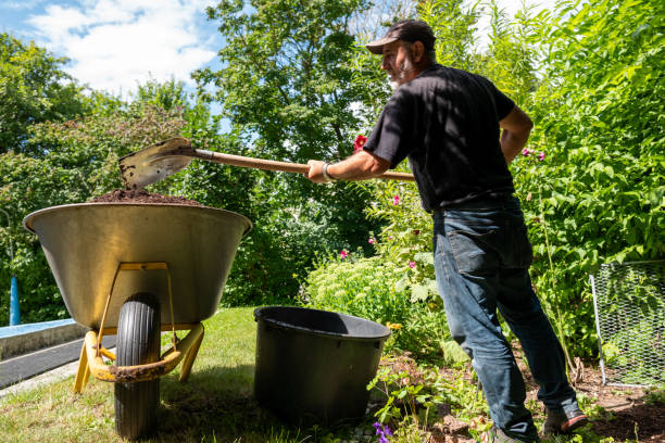 istock gardening: Adult man shovels compost into a wheelbarrow 1261287698