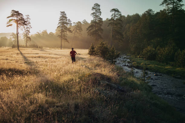 istock Morning jogging in a field 1261299864
