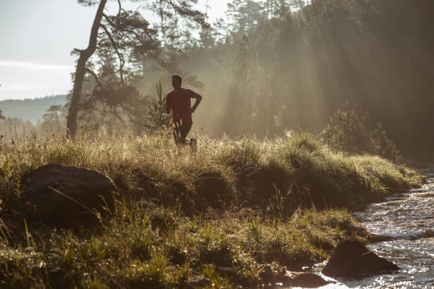istock Morning jogging in a field 1261300452