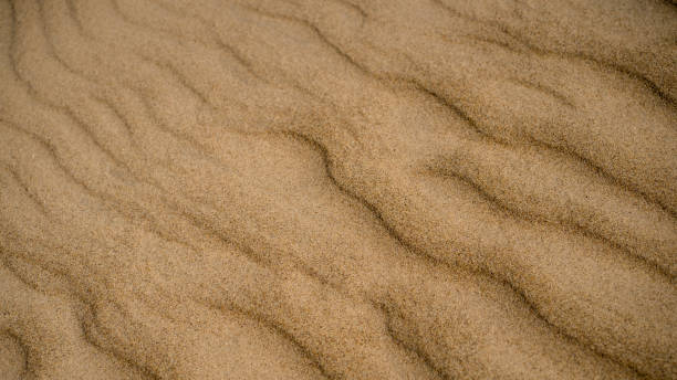 istock Clean sea sand in the spring in the Baltic 1261301018