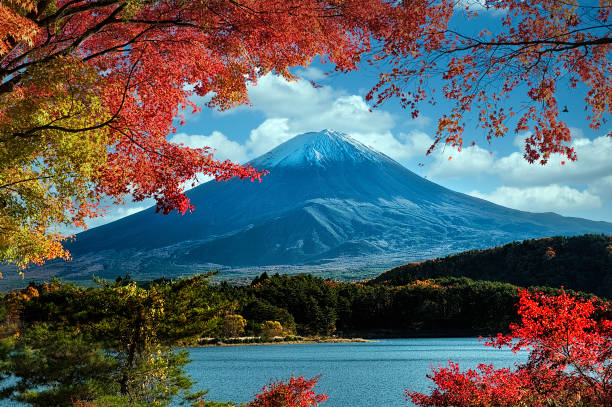 istock Mount Fuji with colorful leaves as foreground 1261336353