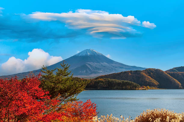 istock Mount Fuji with colorful leaves as foreground 1261336359