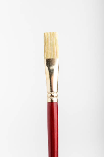 istock One professional artist paintbrush displayed vertically isolated on a white studio paper, photographed with soft focus 1261344419