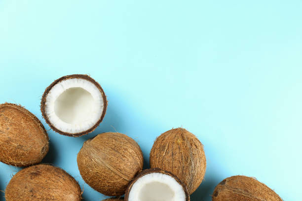 istock top view shot of coconuts on bright background. 1261387656