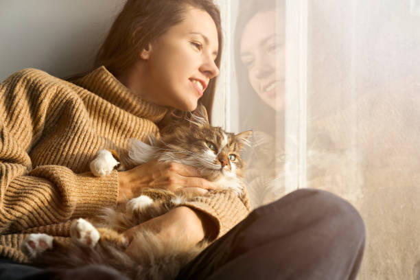 istock Brunette female in knitted sweater with her fluffy cat. 1261388199