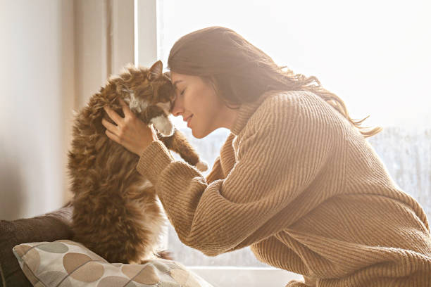 istock Brunette female in knitted sweater with her fluffy cat. 1261388215