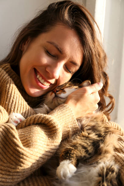 istock Brunette female in knitted sweater with her fluffy cat. 1261388742