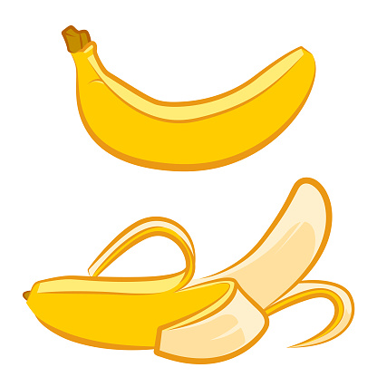 Vector Illustration of Whole and Peeled Bananas.
