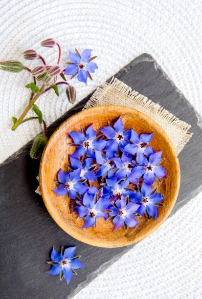 Using beautiful dark blue edible flower for food decoration Borago officinalis (Borago or borage). Flat lay view of blossoms in wood bowl on black stone plate, white background.