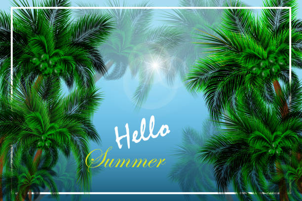 istock Fropical palm trees, leaves frame botanical vector illustration. Exotic nature card or banner with frame for text isolated on abstract background. Jungle green leaf floral pattern. Tropical palm leaves card. 1261419730