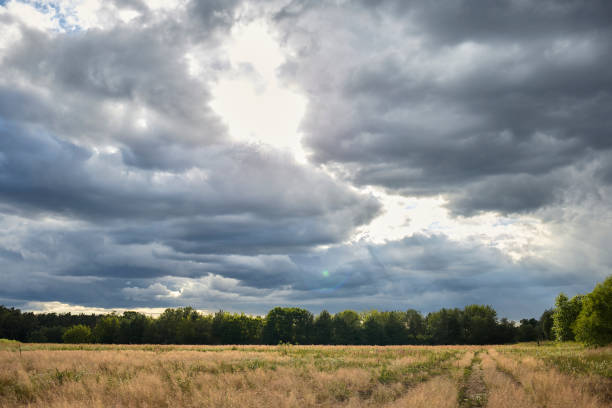 istock Cloudy field with sunshine breaking through the cloud cover 1261424118