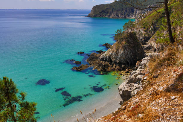 istock the virgin island beach 1261441715