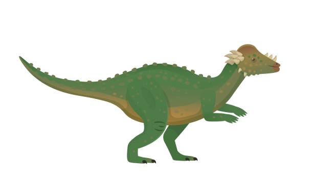 Pachycephalosaurus green dinosaur.Vector cartoon dinosaur. Pachycephalosaurus green dinosaur.Vector cartoon dinosaur. pachycephalosaurus stock illustrations