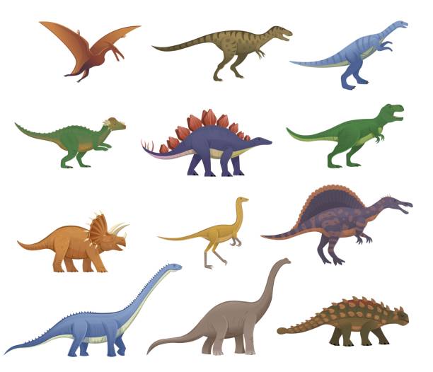 ilustrações de stock, clip art, desenhos animados e ícones de big set of cartoon dinosaurs. pterodactylus, ankylosaurus, stegosaurus, pachycephalosaurus, spinosaurus, tyrannosaurus, tarbosaurus, triceratops, gallimimus, amphicoelias, diplodocus, plateosaurus - anquilossauro