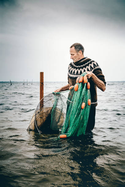 Candid portrait of a shrimp fisherman preparing his nets in the shallow water. Colour, vertical with some copy space. The net is left in the water for 24 hours before it is hauled in and the catch sorted. Photographed on the island of Nyord in Denmark. He is fishing for salt water shrimp in the local fjord’s and they are highly sought after as a delicacy here in Denmark.