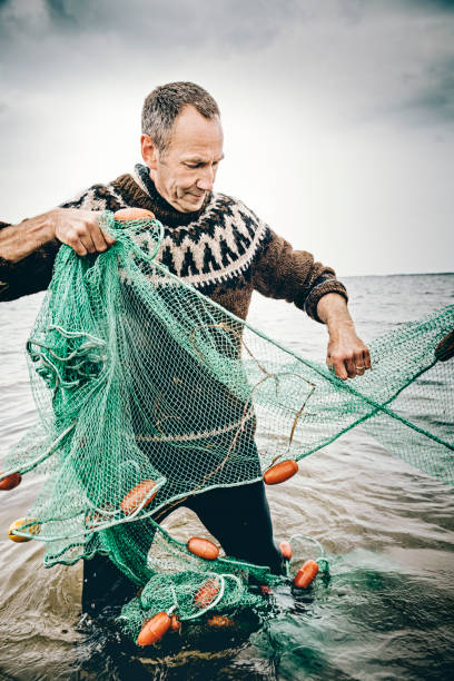 Candid portrait of a shrimp fisherman preparing his nets in the shallow water. Colour, vertical with some copy space. The net is left in the water for 24 hours before it is hauled in and the catch sorted. Photographed on the island of Nyord in Denmark. He is fishing for salt water shrimp in the local fjord’s and they are highly sought after as a delicacy here in Denmark.
