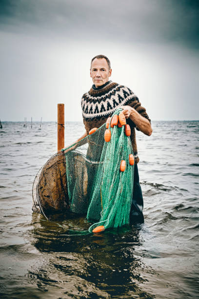 Candid portrait of a shrimp fisherman preparing his nets in the shallow water. Colour, vertical with some copy space. The net is left in the water for 24 hours before it is hauled in and the catch sorted. Photographed on the island of Nyord in Denmark. He is fishing for salt water shrimp in the local fjord’s and they are highly sought after as a delicacy here in Denmark.
