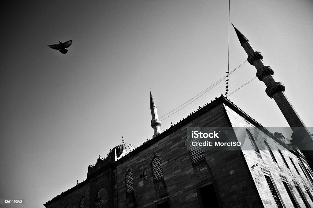 Mesquita em preto e branco - Foto de stock de Arquitetura royalty-free