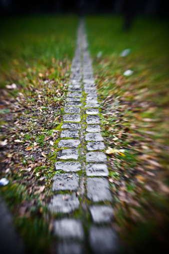 This brick track is what is remaining of the Berlin Wall, Potsdamer Platz. Lensbaby.