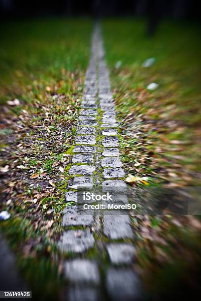 The Berlin Wall Track Stock Photo - Download Image Now - Autumn, Berlin Wall, Fall Of The Berlin Wall