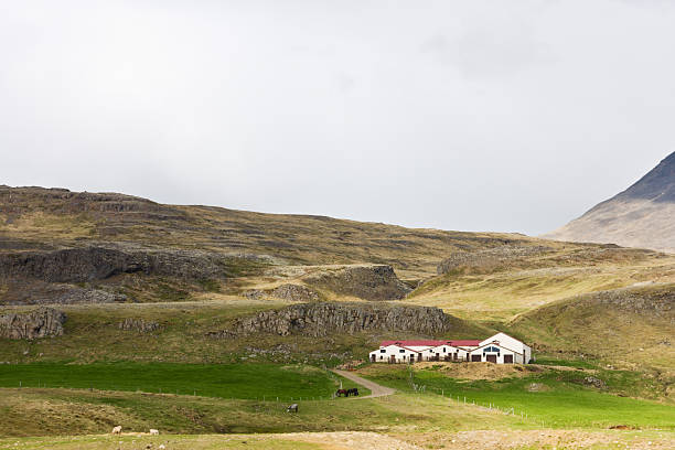 istock Icelandic Farm House 126149852
