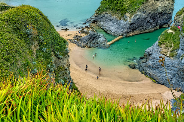 Towan Rock in the bay at Newquay, Cornwall, England, UK.  There are a number of young people in the water around the base of the rock.