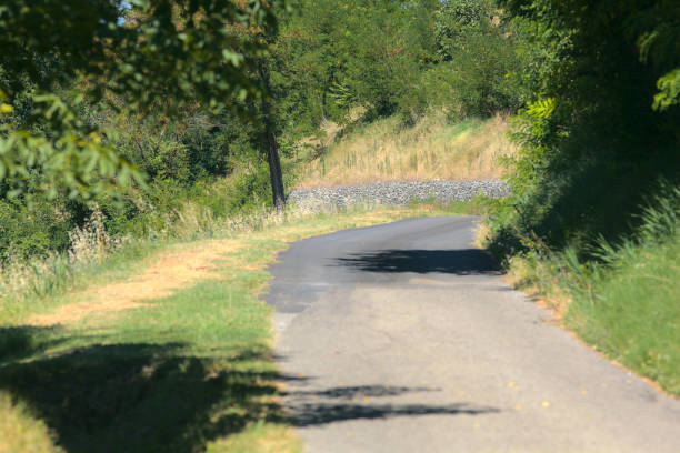 istock Road on a hill slope bordered by a field in summer 1261516468