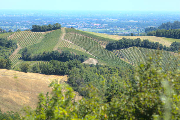 istock Hills with ploughed fields in summer seen from the distance 1261517591