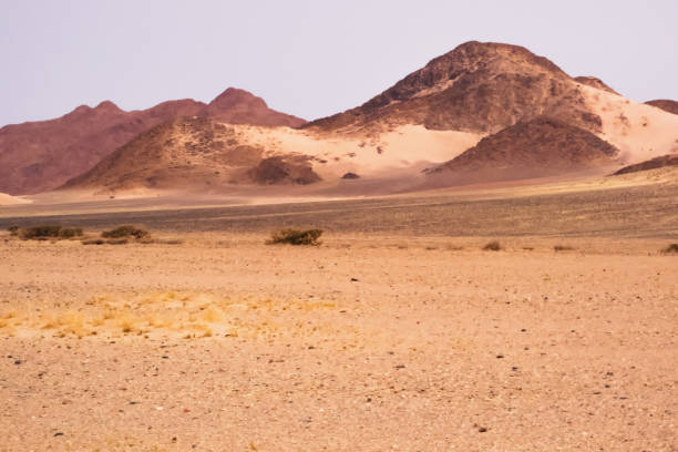 istock Namibian Desert Landscape 1261534984