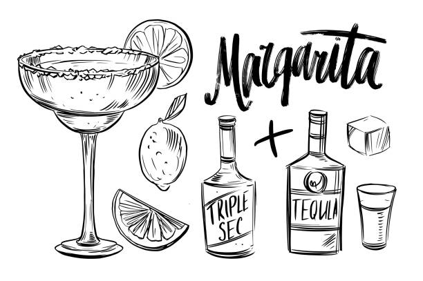 koktejlové margaritové ingredience. černý obrys na průhledném pozadí - koktejl margarita stock ilustrace