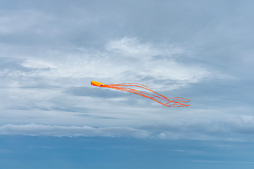 In the picture is a green and orange bared snake-shaped kite with a snake head in the middle with a long blue line, very beauti