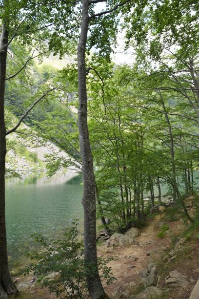 istock Lago Santo, Modena Apennines, Italy 1261543764