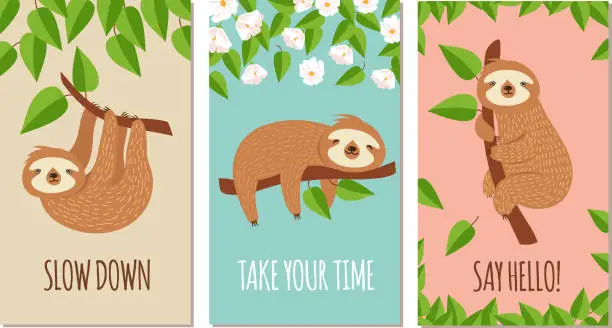 Vector illustration of Lazy sloth. Cute slumbering sloths on branch. Child t shirt design or greeting cards vector set